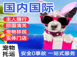 大庆萨尔图机场快递国际宠物托运 【国